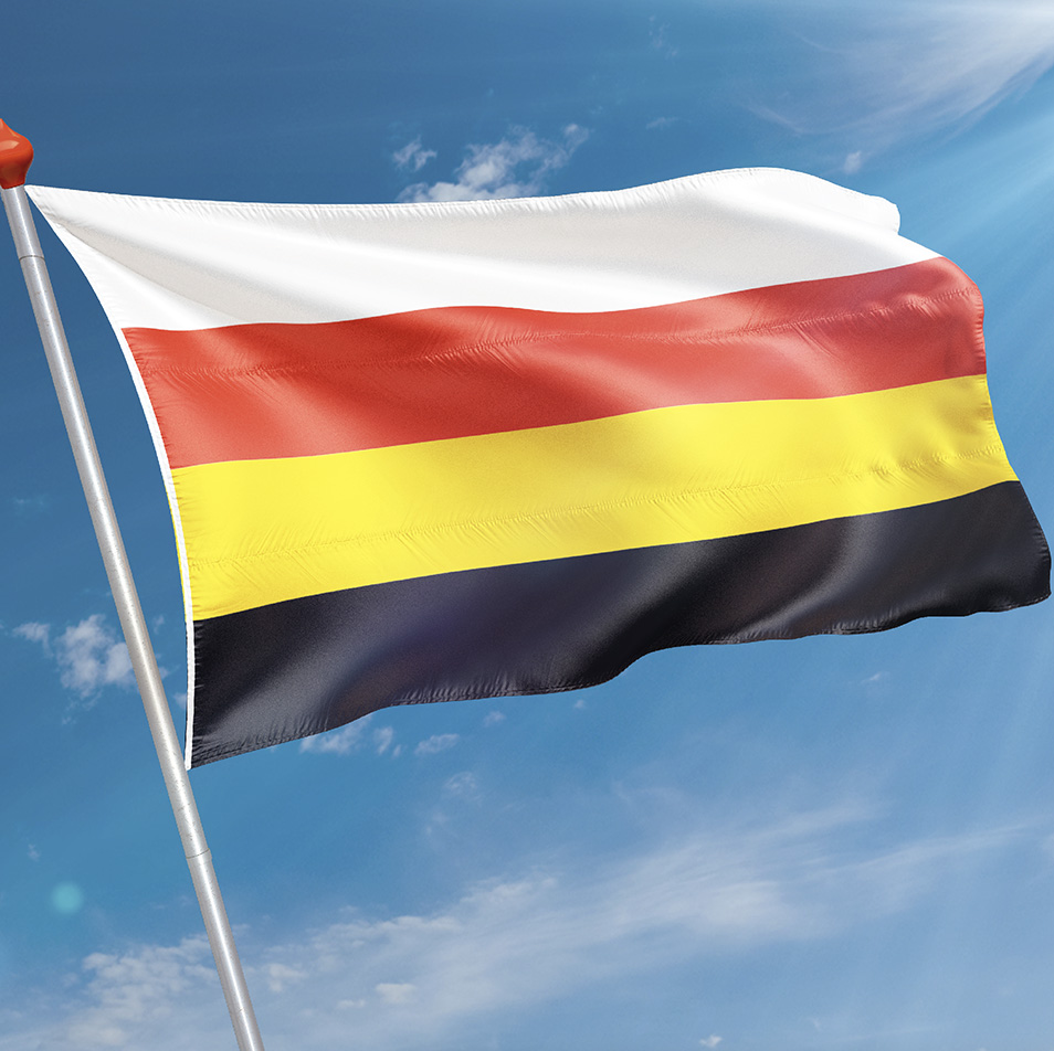 Ontdek de unieke vlaggen van Elst en de Ewijkse vlag: Symbolen van gemeenschap en traditie